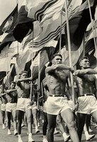 Аватара пользователя